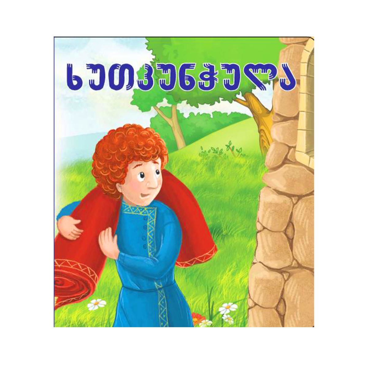 ხუთკუნჭულა ბალიშა 4379