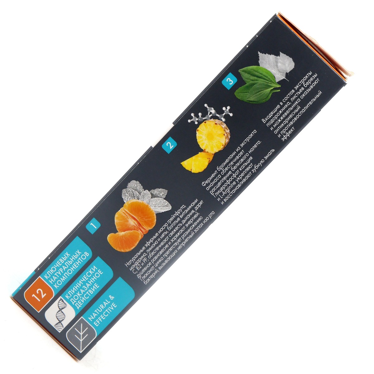 Biomed - ბიომედი კბილის პასტა vitafresh 100გ 0431 4