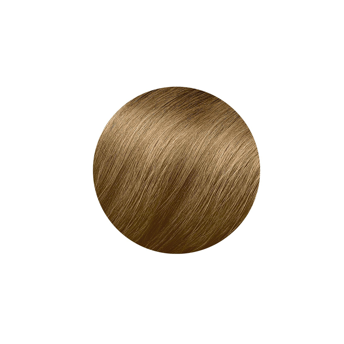 PHYTO - ფიტო თმის საღებავი 8.3 2464 2