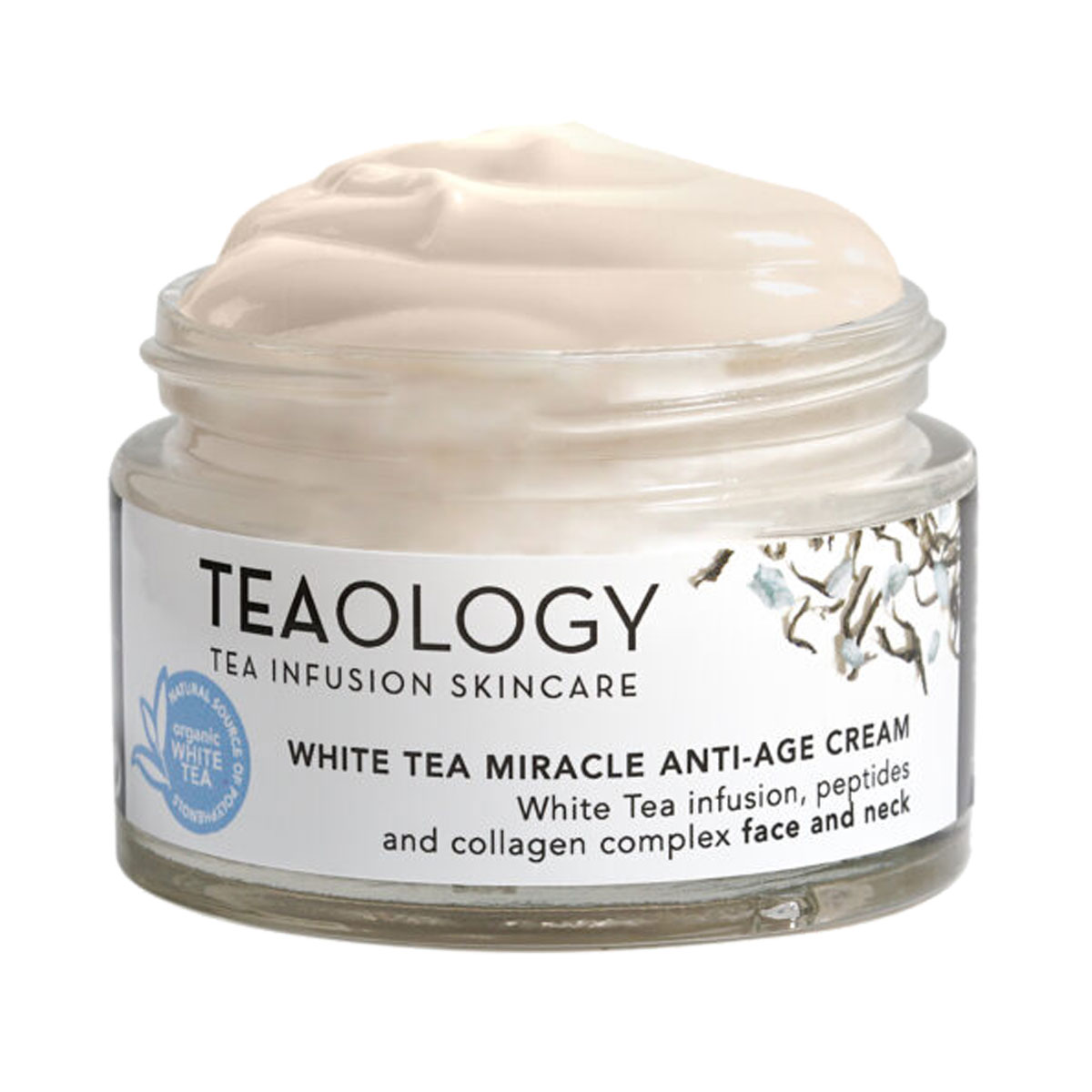 Teaology - თიოლოჯი White Tea დაბერების საწინააღმდეგო კრემი 50 მლ 0070 2