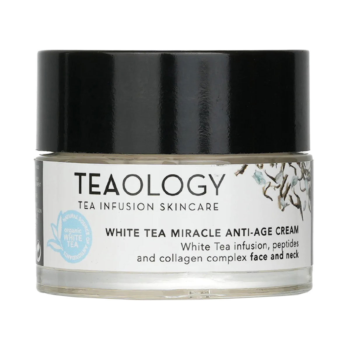 Teaology - თიოლოჯი White Tea დაბერების საწინააღმდეგო კრემი 50 მლ 0070