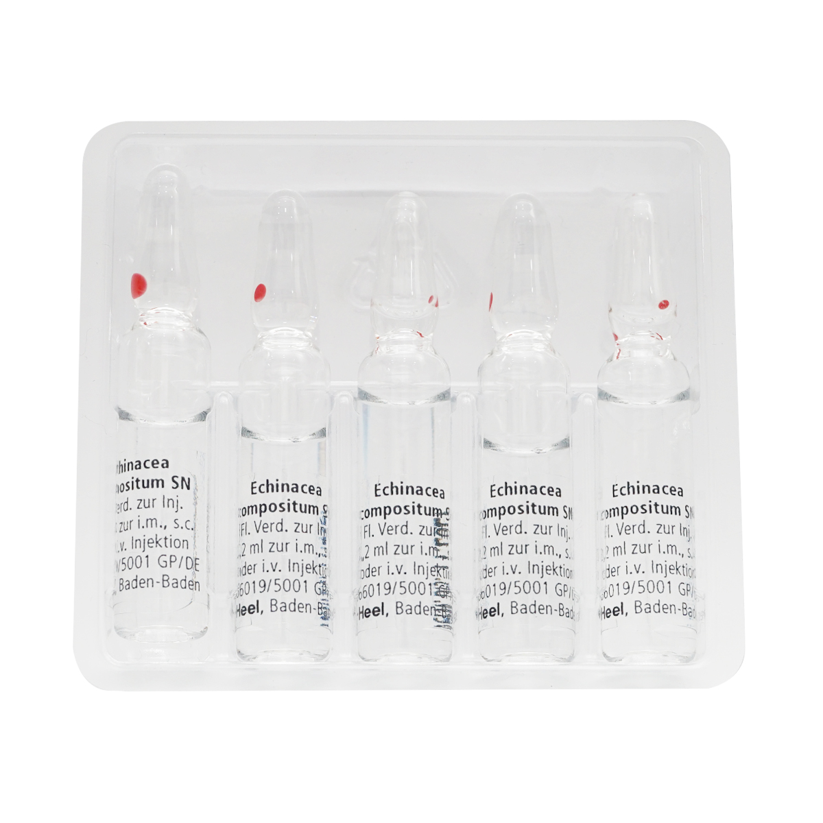 Echinacea Compositum - ექინაცეა კომპოზიტუმი SN 5 ამპულა