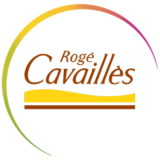 Roge Cavailles - როჟე კავაიე